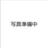羽田空港国際線ビル駅ランチで見つけた！穴場の絶品親子丼と空港グルメ散歩ガイド