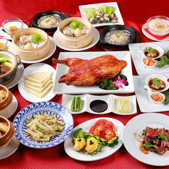 青蓮 六本木一丁目店 六本木駅ランチ