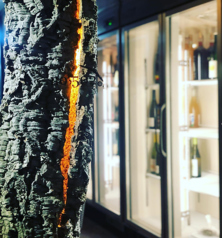 no.502 千歳船橋駅ランチ