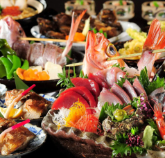 いかの墨 新宿マインズタワー店 南新宿駅ランチ