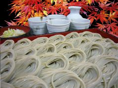 そば居酒屋 元屋 本郷三丁目駅ランチ