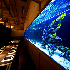 京野菜と旬鮮魚 京兵衛 立川店 立川北駅ランチ
