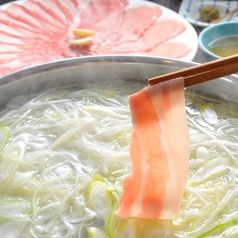 すぎのこ Suginoko 青山 表参道駅ランチ